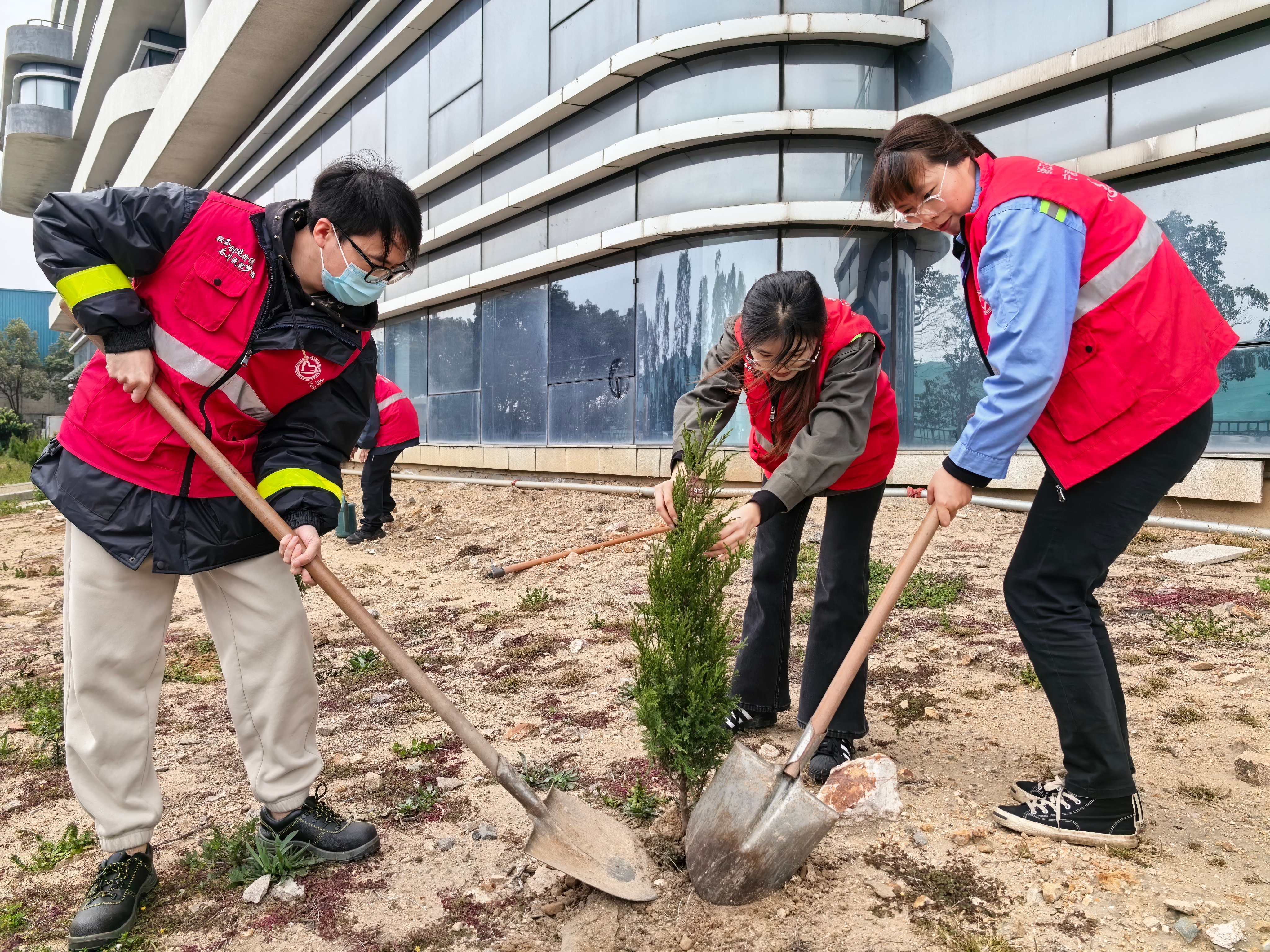 乐清湾公司开展港区绿化情形清洁自愿活动